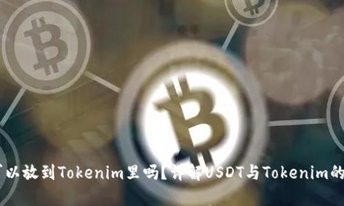 USDT可以放到Tokenim里吗？详解USDT与Tokenim的兼容性