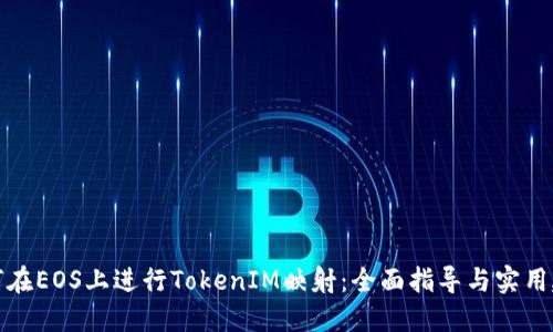 如何在EOS上进行TokenIM映射：全面指导与实用建议