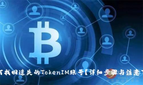 如何找回遗失的TokenIM账号？详细步骤与注意事项