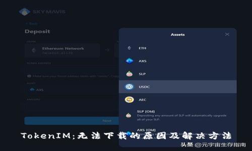 TokenIM：无法下载的原因及解决方法