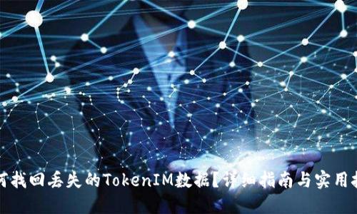 如何找回丢失的TokenIM数据？详细指南与实用技巧