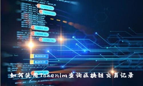 如何使用Tokenim查询区块链交易记录