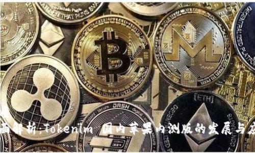 优质  
全面解析：Tokenim 国内苹果内测版的发展与应用