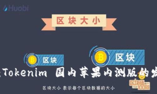 优质  
全面解析：Tokenim 国内苹果内测版的发展与应用