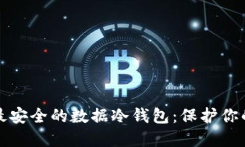 如何选择最安全的数据冷钱包：保护你的数字资产