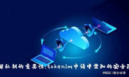 理解私钥的重要性：tokenim申请中需知的安全隐患