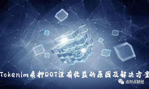 Tokenim质押DOT没有收益的原因及解决方案