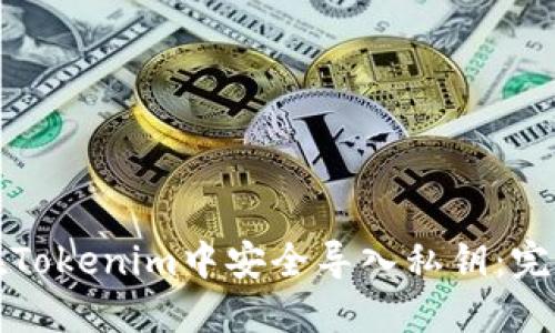 如何在Tokenim中安全导入私钥：完整指南