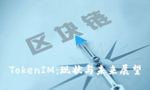 TokenIM：现状与未来展望