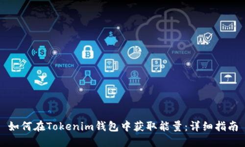 如何在Tokenim钱包中获取能量：详细指南