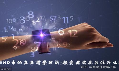 BHD币的未来前景分析：投资者需要关注什么？