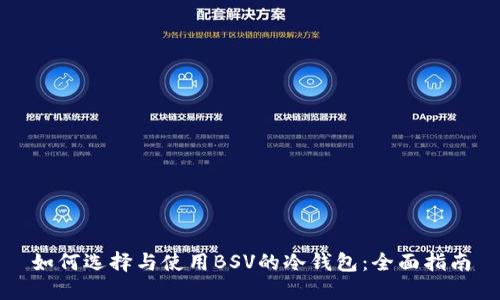 如何选择与使用BSV的冷钱包：全面指南