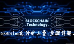 如何使用Tokenim支付旷工费