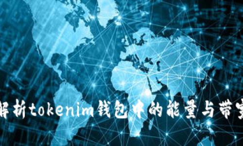 深入解析tokenim钱包中的能量与带宽概念