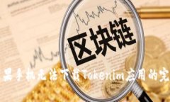 解决苹果手机无法下载T