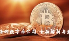 中国合法的数字币公司：