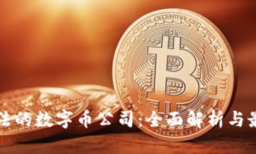 中国合法的数字币公司：全面解析与最新动态