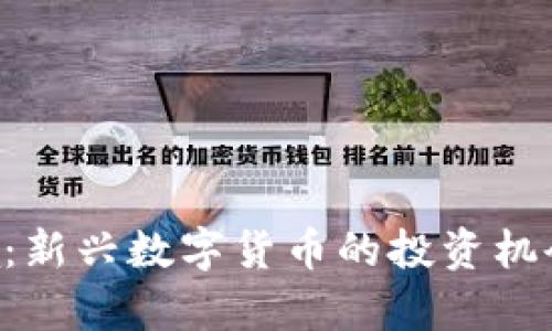虚拟币Alpha：新兴数字货币的投资机会与风险分析
