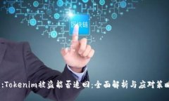  :Tokenim被盗能否追回：全