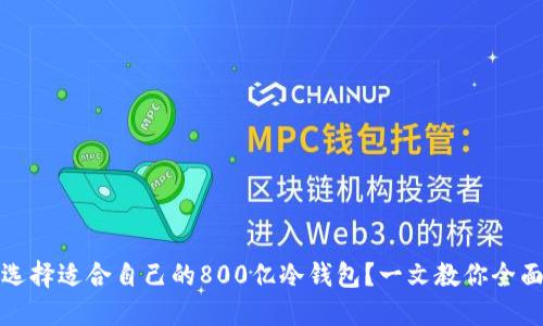 如何选择适合自己的800亿冷钱包？一文教你全面了解