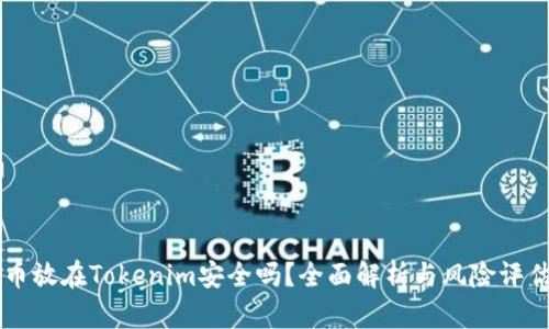 币放在Tokenim安全吗？全面解析与风险评估