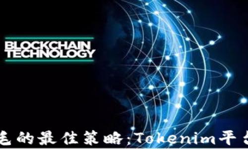 
薅羊毛的最佳策略：Tokenim平台详解