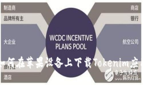 如何在苹果设备上下载Tokenim应用