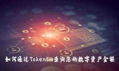 如何通过Tokenim查询您的数字资产金额
