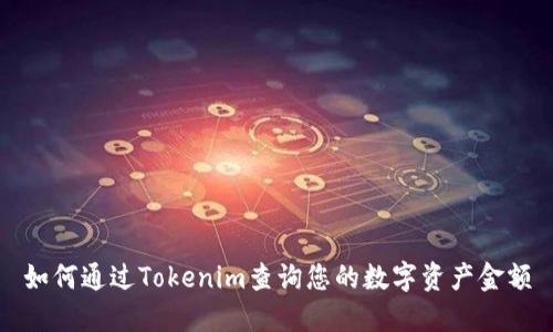 如何通过Tokenim查询您的数字资产金额