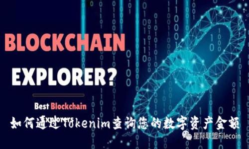 如何通过Tokenim查询您的数字资产金额