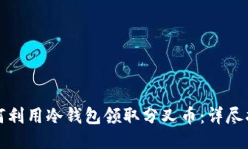 如何利用冷钱包领取分叉币：详尽指南