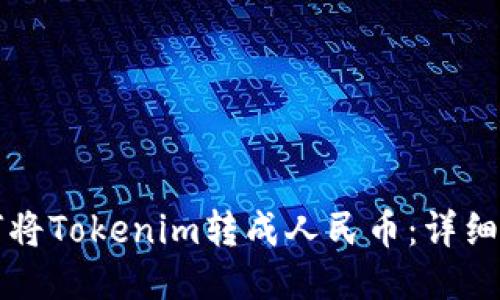 如何将Tokenim转成人民币：详细指南