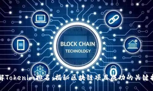 理解Tokenim排名：揭秘区块链项目成功的关键指标