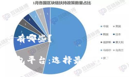 虚拟币钱包的平台有哪些？

全面解析虚拟币钱包平台：选择最佳数字资产存储解决方案