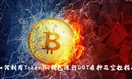 如何利用Tokenim钱包进行DOT质押及空投指南