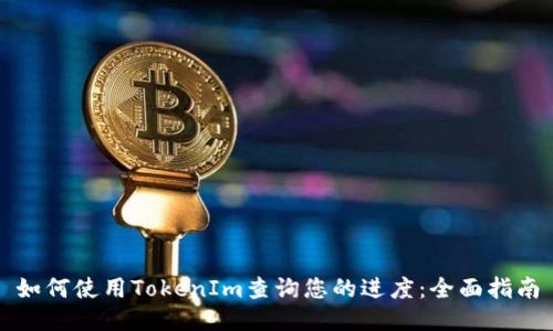 如何使用TokenIm查询您的进度：全面指南