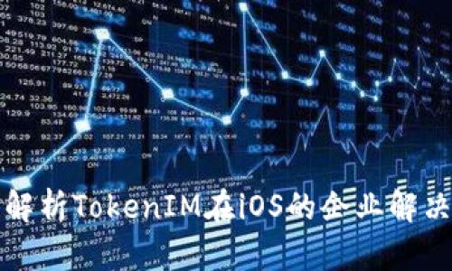 全面解析TokenIM在iOS的企业解决方案