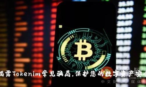 揭露Tokenim常见骗局，保护您的数字资产安全