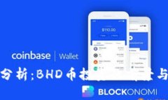 深入分析：BHD币投资的前景与风险