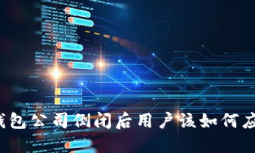 冷钱包公司倒闭后用户该如何应对？