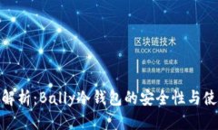 全方位解析：Bally冷钱包的安全性与使用体验