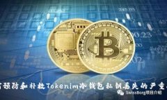 如何预防和补救Tokenim冷钱包私钥丢失的严重问题