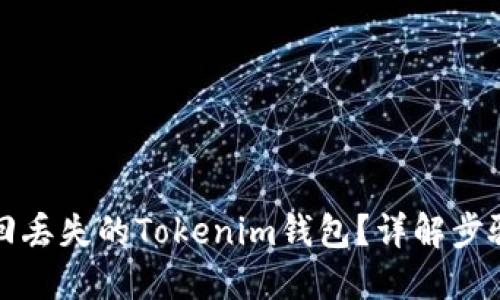 如何找回丢失的Tokenim钱包？详解步骤与技巧