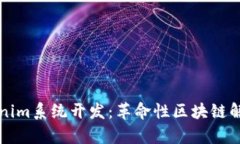 全面解析Tokenim系统开发：