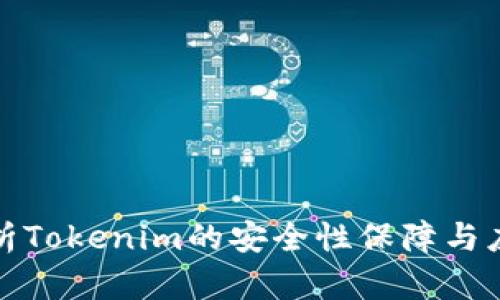 全面解析Tokenim的安全性保障与应用前景