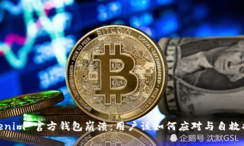 Tokenim 官方钱包崩溃：用户该如何应对与自救措施
