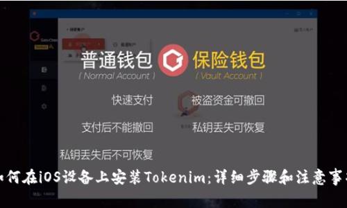 如何在iOS设备上安装Tokenim：详细步骤和注意事项