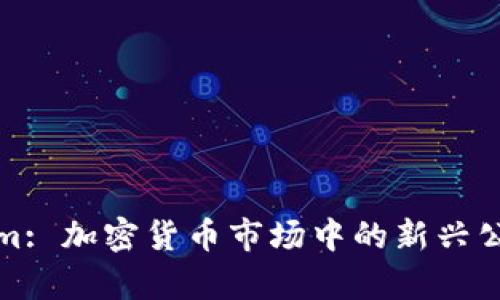 Tokenim: 加密货币市场中的新兴公司分析
