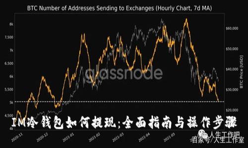 IM冷钱包如何提现：全面指南与操作步骤
