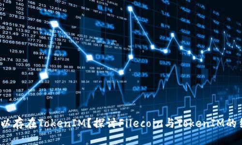 FIL是否可以存在TokenIM？探讨Filecoin与TokenIM的结合可能性